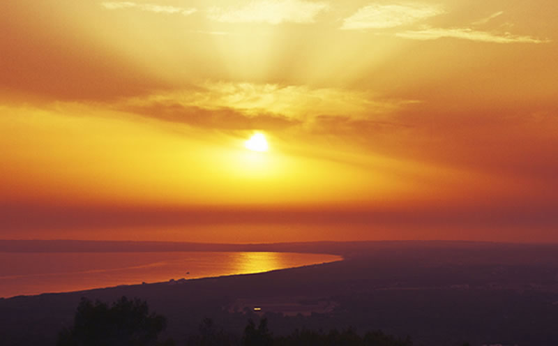 la savina
